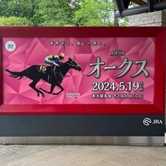 競馬友達欲しいです − 東京都