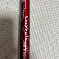 ハイキング、登山用ストックの画像