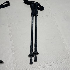 ハイキング、登山用ストックの画像