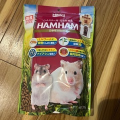 ハムスターの餌の画像