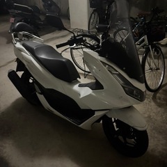 pcxjk05
