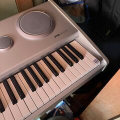 KORG pa588 シンセサイザー ピアノタッチ 電子ピアノ ワークステーション ツアーケース付の画像
