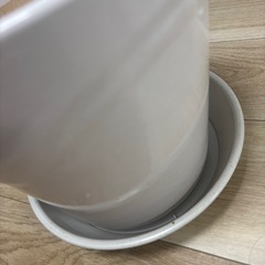 鉢植え　　の画像