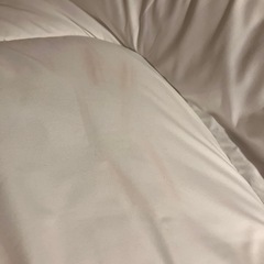 ニトリ 布団・枕(カバー付)三点セットの画像