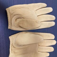 Lamp gloves　Mサイズの画像