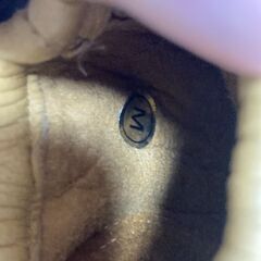 Lamp gloves　Mサイズの画像