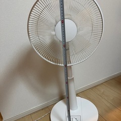 2024年製　扇風機の画像