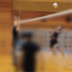 5月30《金》体験枠若干有り❗️相模原、橋本　混合バレー🏐メンバー募集中❗️ - スポーツ