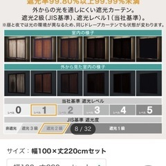 【100×220cm】遮光2級･遮熱 カーテン　&遮熱･ミラーレース 4枚セット(Nナーシャ2 YGR)の画像