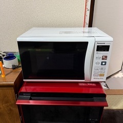 受付一旦中止パナソニック電子レンジ
