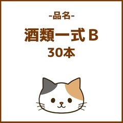 【30本】酒類一式Ｂの画像