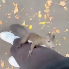 誰かいませんか？