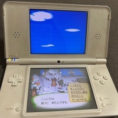 DSi LL 動作確認済み!の画像