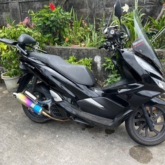 PCX  jf81