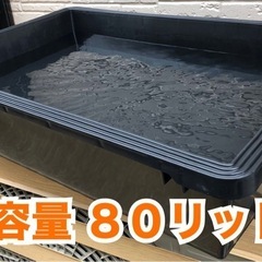 メダカ飼育ケース　睡蓮栽培ケース　８０リットル
