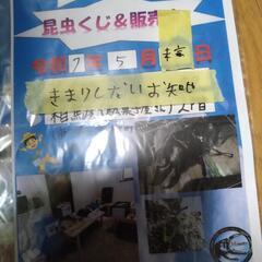 昆虫即売会、くじ