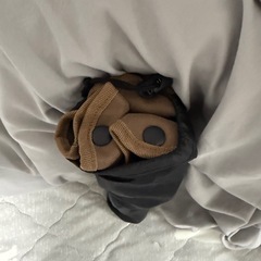 LOGOS三脚イスの画像