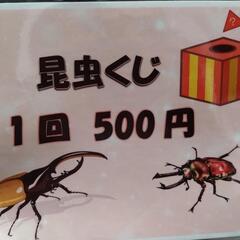 ガレージセール昆虫くじ