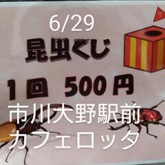昆虫即売会、くじ、カブト釣り（予定）