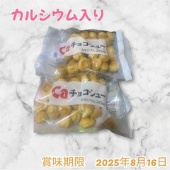 《予定者確定　業者様引取》チョコシュー　2袋