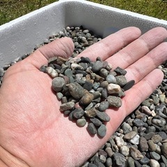 庭砂利・水槽砂利　11.2kgの画像