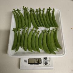 スナップエンドウ約150g 100円の画像