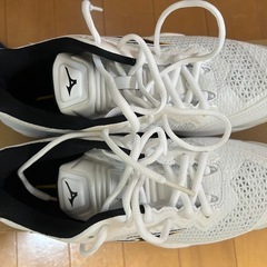 ミズノ] ハンドボールシューズ ウエーブ ステルス 5の画像