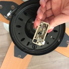 ニトリ　羽つき照明の画像