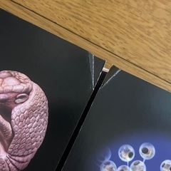 小学館の図鑑NEOの画像