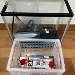 メダカ飼育セットの画像