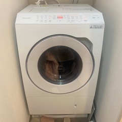 Panasonic NA-LX113B