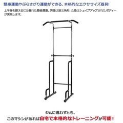 新品【ALINCO/アルインコ】 懸垂マシン EX900T