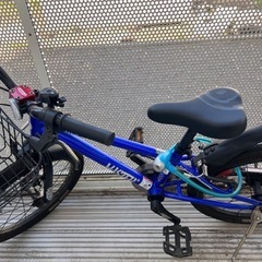 d-BIKE  