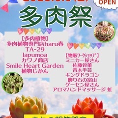 2025  6/1「多肉祭」と昔ながらの「青空市」フリーマーケット