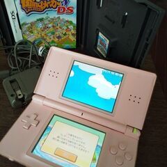 任天堂　NintendoDS Lite動作確認済み