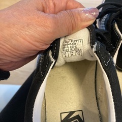VANS バンスレディーススニーカーの画像