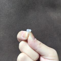 樹脂イヤリング　指輪の画像