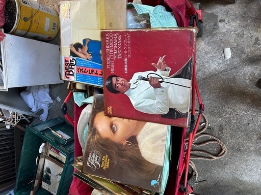 大量のレコード