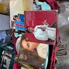 大量のレコード

