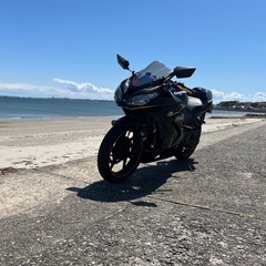 Ninja250