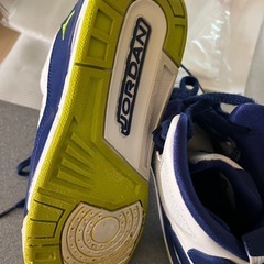 NIKE ジョーダン　SC-3　24.0cm 中古の画像