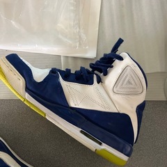 NIKE ジョーダン　SC-3　24.0cm 中古の画像