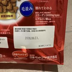 ビューティープロ、猫のご飯の画像