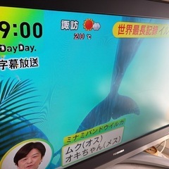 TOSHIBA テレビ