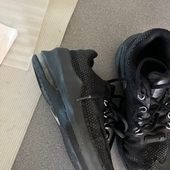 NIKE Airmax 22.5 バシュ　中古　の画像