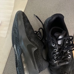 NIKE Airmax 22.5 バシュ　中古　の画像