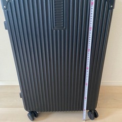 大型スーツケース　キャリーバック　旅行カバン