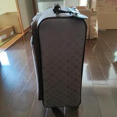 旅行用のキャリーバックの画像