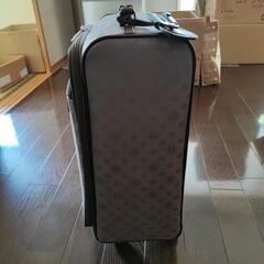 旅行用のキャリーバックの画像