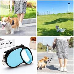 犬 リード 伸縮 巻き取り式 ドッグリード ブルー　お散歩 お出かけ　5mの画像
